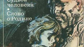 Украли аккаунт кракен