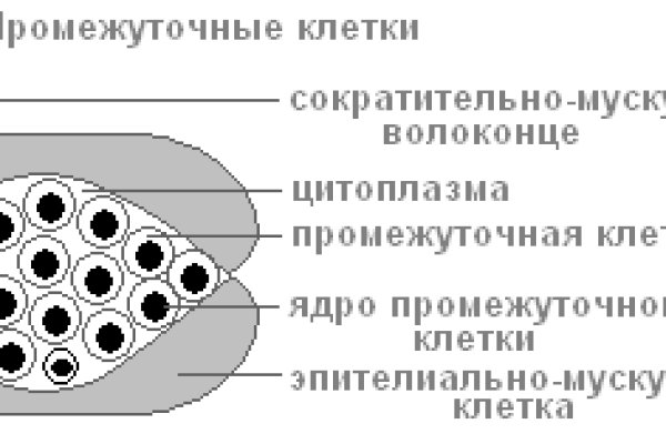 Взломанный аккаунт кракен